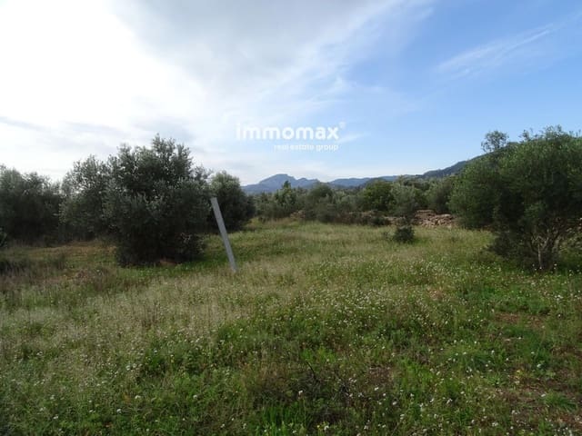Undeveloped Land for sale in Xerta - € 106,000 (Ref: 8695666)