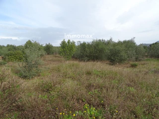 Undeveloped Land for sale in Xerta - € 106,000 (Ref: 8695666)