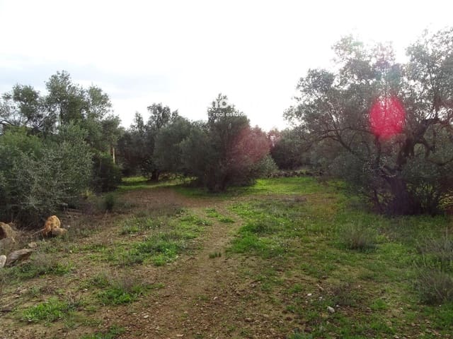 Undeveloped Land for sale in Xerta - € 106,000 (Ref: 8695666)
