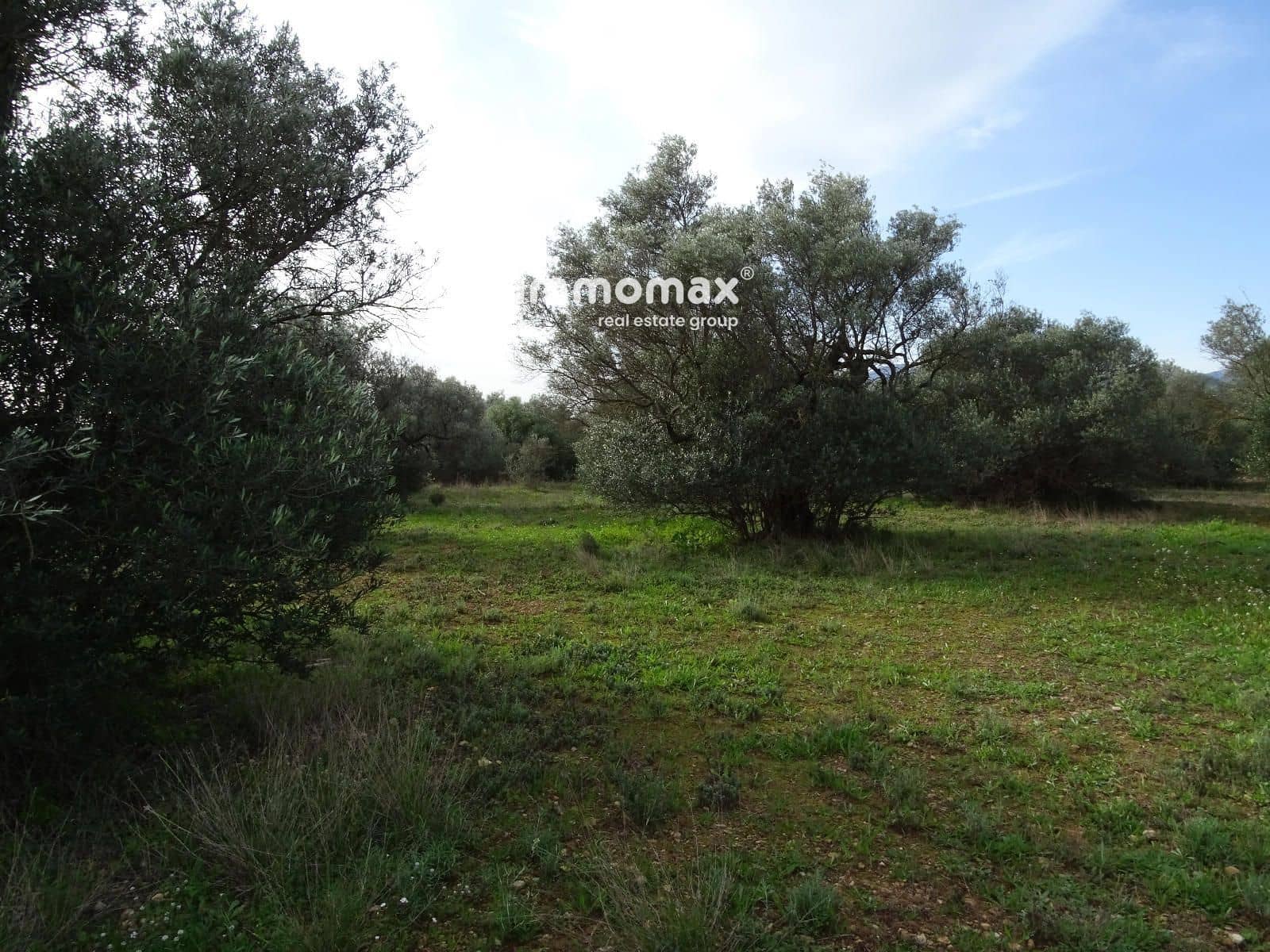 Grunde uden byggetilladelser til salg i Xerta - € 106.000 (Ref: 8695666)