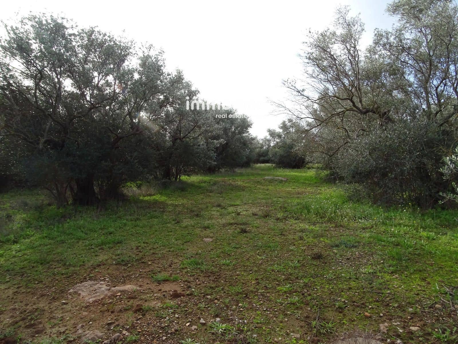 Grunde uden byggetilladelser til salg i Xerta - € 106.000 (Ref: 8695666)