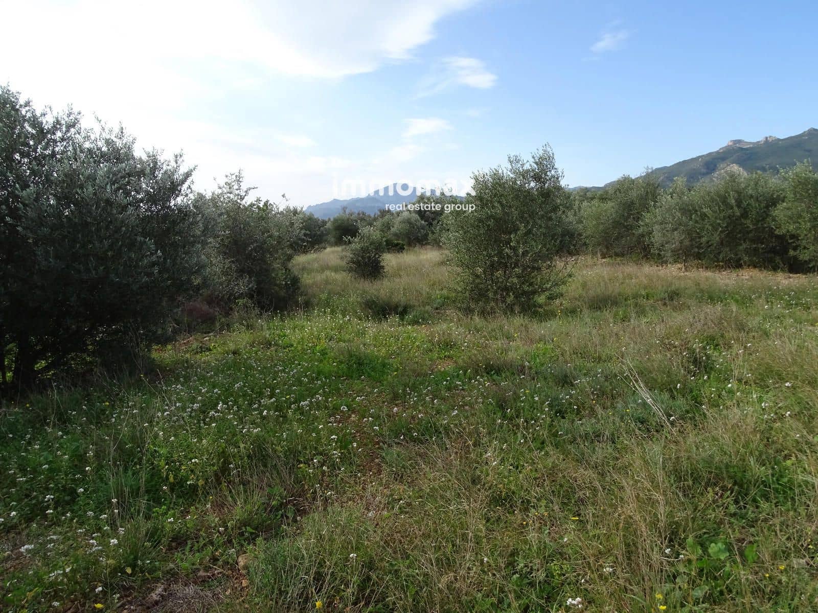 Grunde uden byggetilladelser til salg i Xerta - € 106.000 (Ref: 8695666)