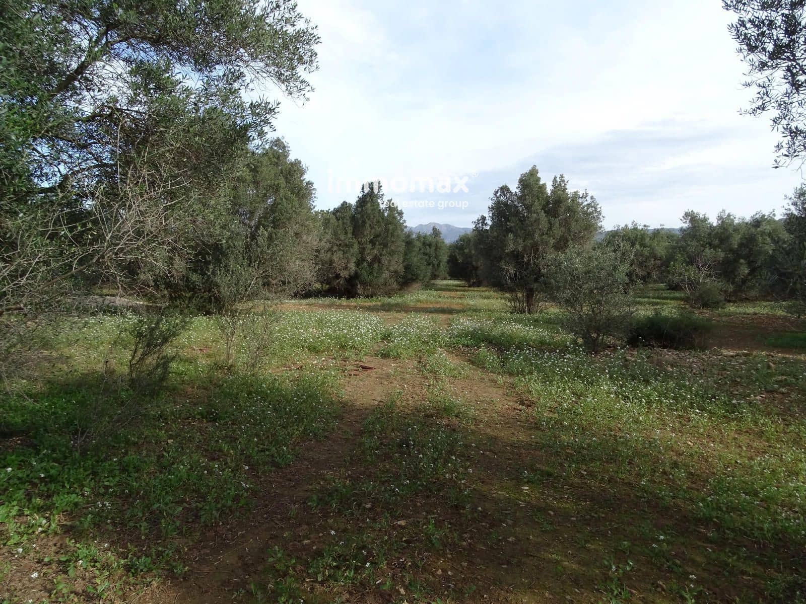 Grunde uden byggetilladelser til salg i Xerta - € 106.000 (Ref: 8695666)