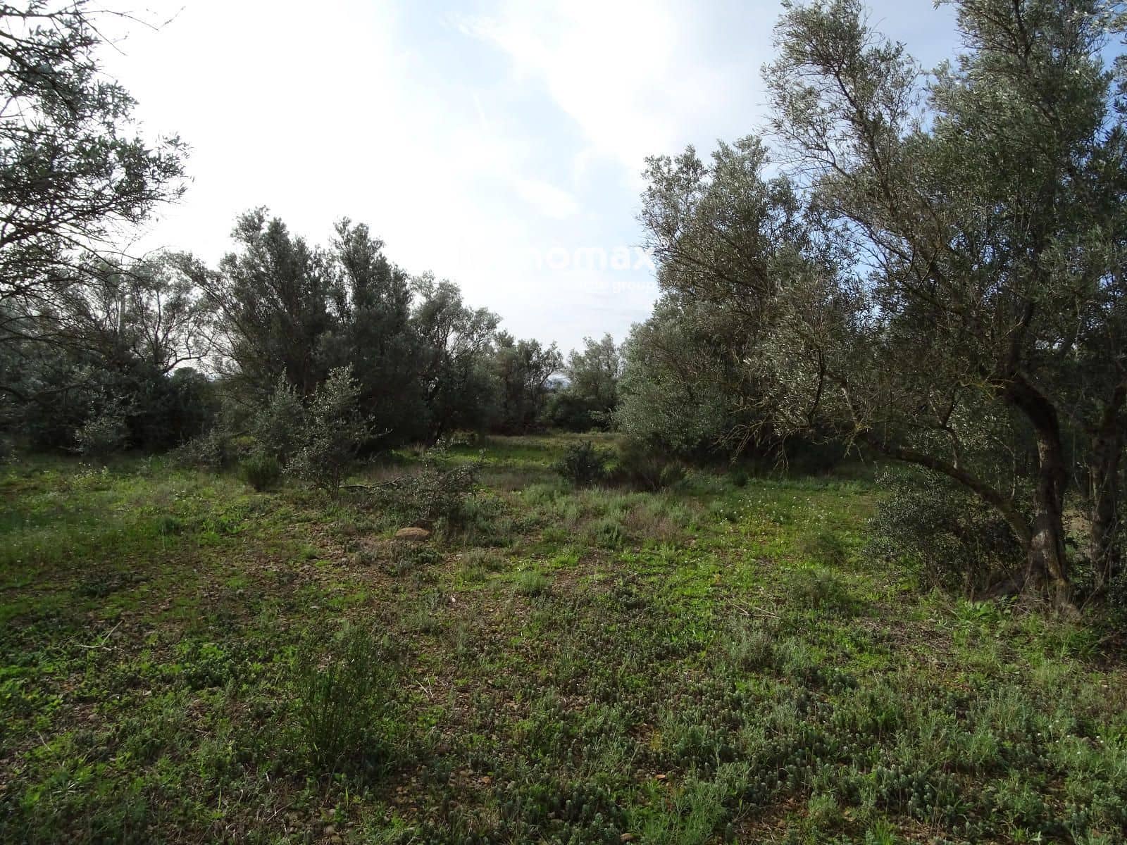 Grunde uden byggetilladelser til salg i Xerta - € 106.000 (Ref: 8695666)