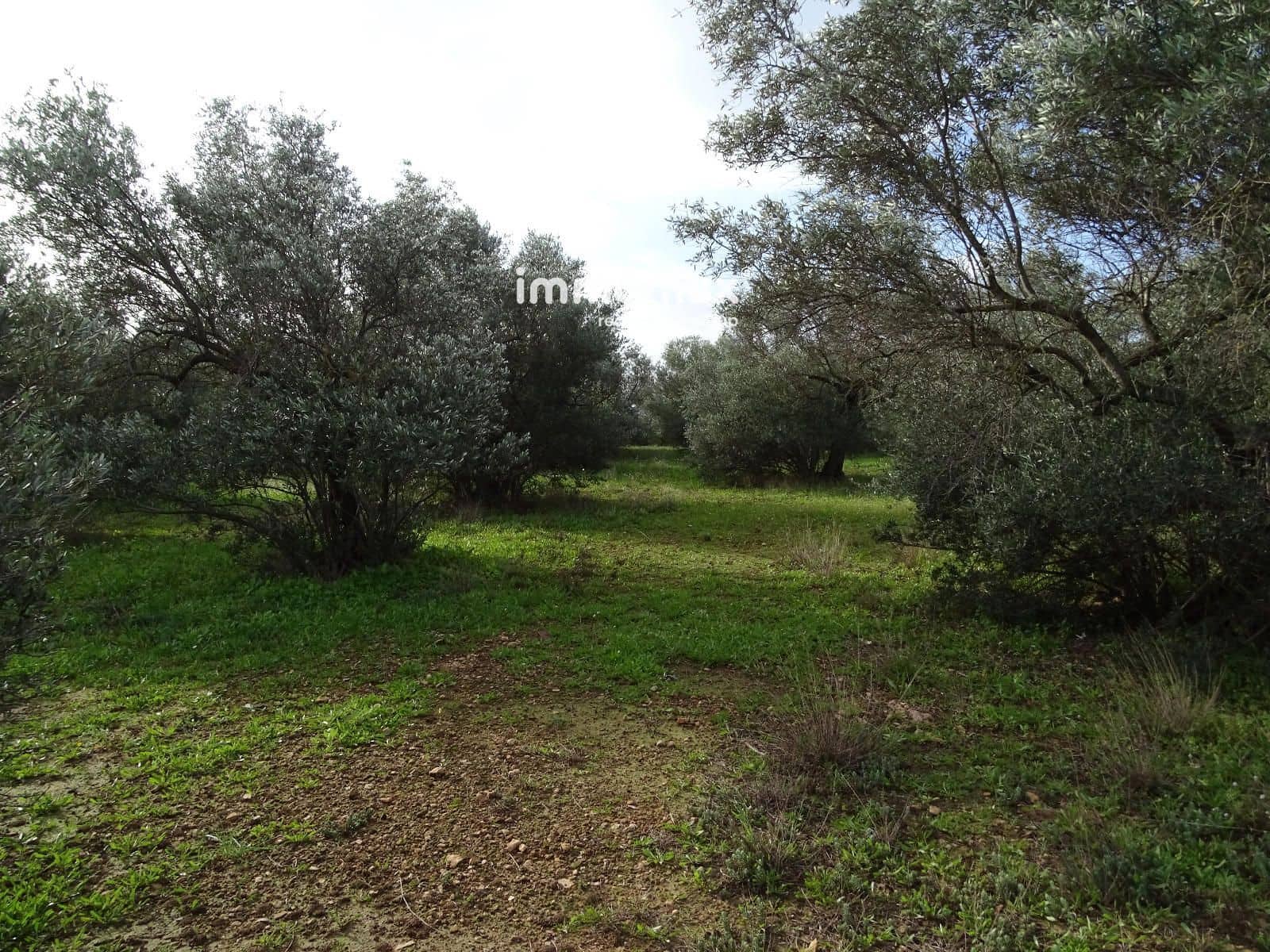 Grunde uden byggetilladelser til salg i Xerta - € 106.000 (Ref: 8695666)