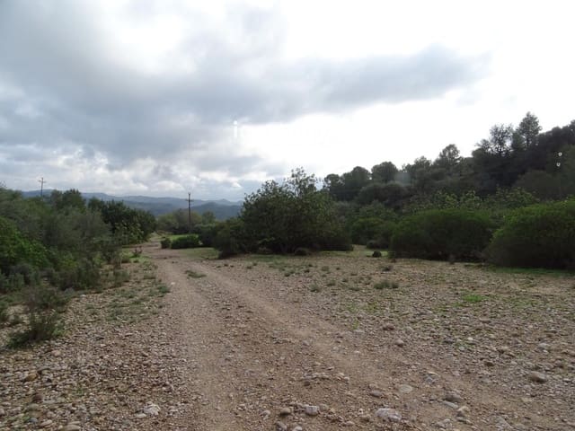 Undeveloped Land for sale in Tortosa - € 46,000 (Ref: 8756577)