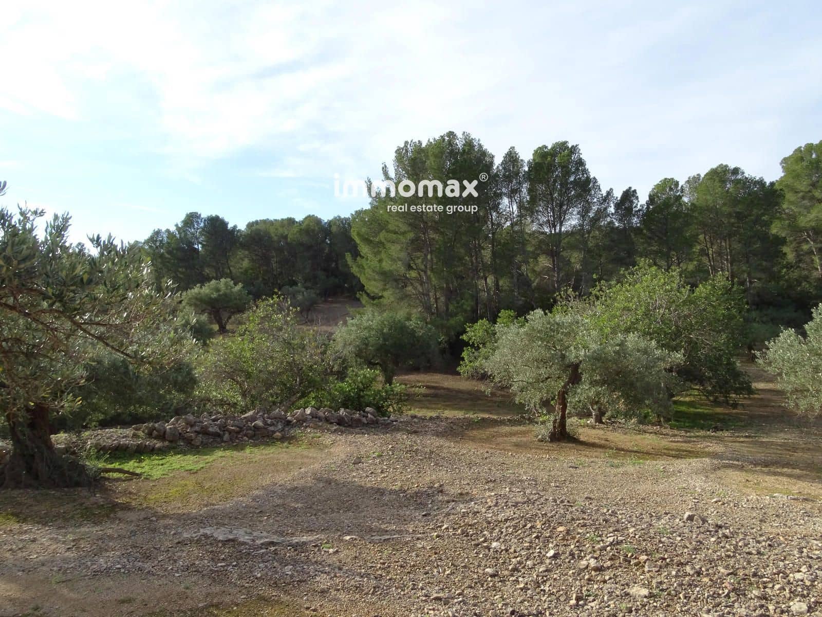 Ubebygd land til salgs i Xerta - € 48 000 (Ref: 8756578)