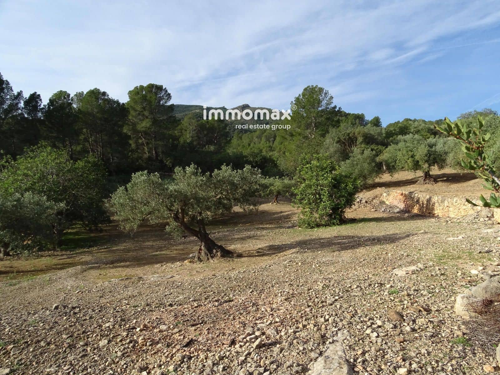 Ubebygd land til salgs i Xerta - € 48 000 (Ref: 8756578)