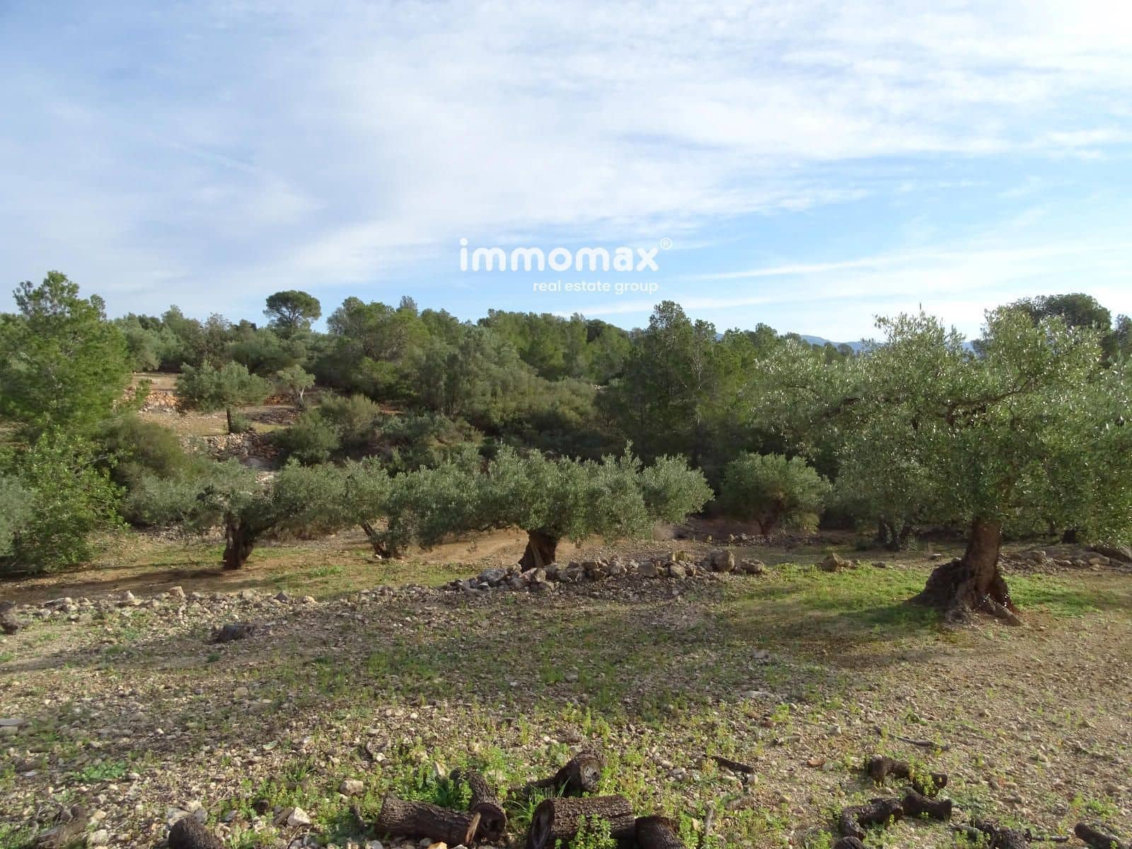 Ubebygd land til salgs i Xerta - € 48 000 (Ref: 8756578)