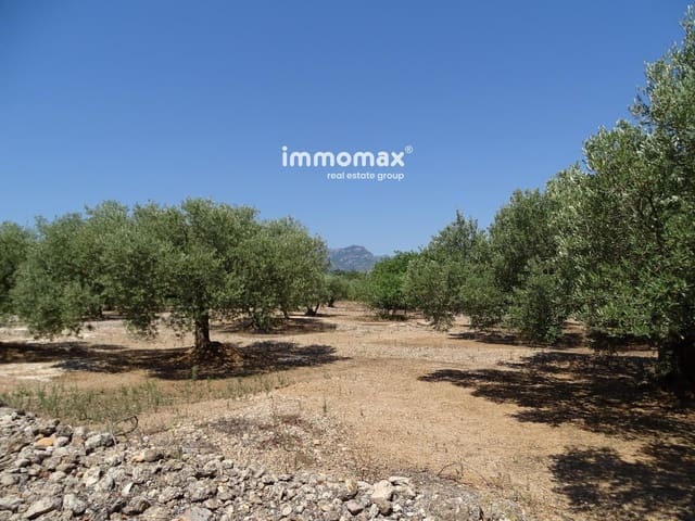 Undeveloped Land for sale in Xerta - € 27,000 (Ref: 8799880)