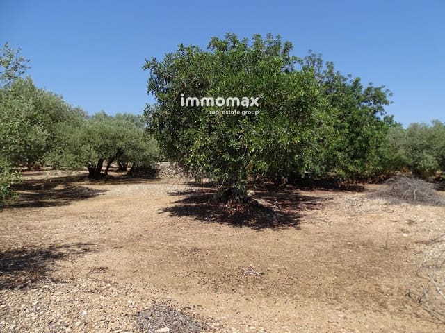 Undeveloped Land for sale in Xerta - € 27,000 (Ref: 8799880)