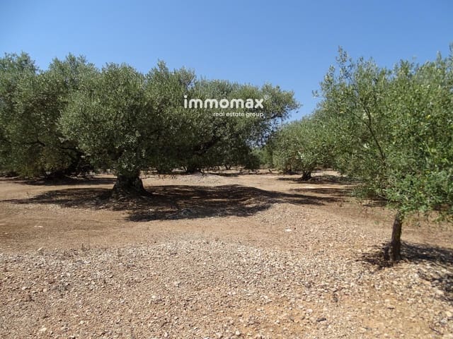 Undeveloped Land for sale in Xerta - € 27,000 (Ref: 8799880)