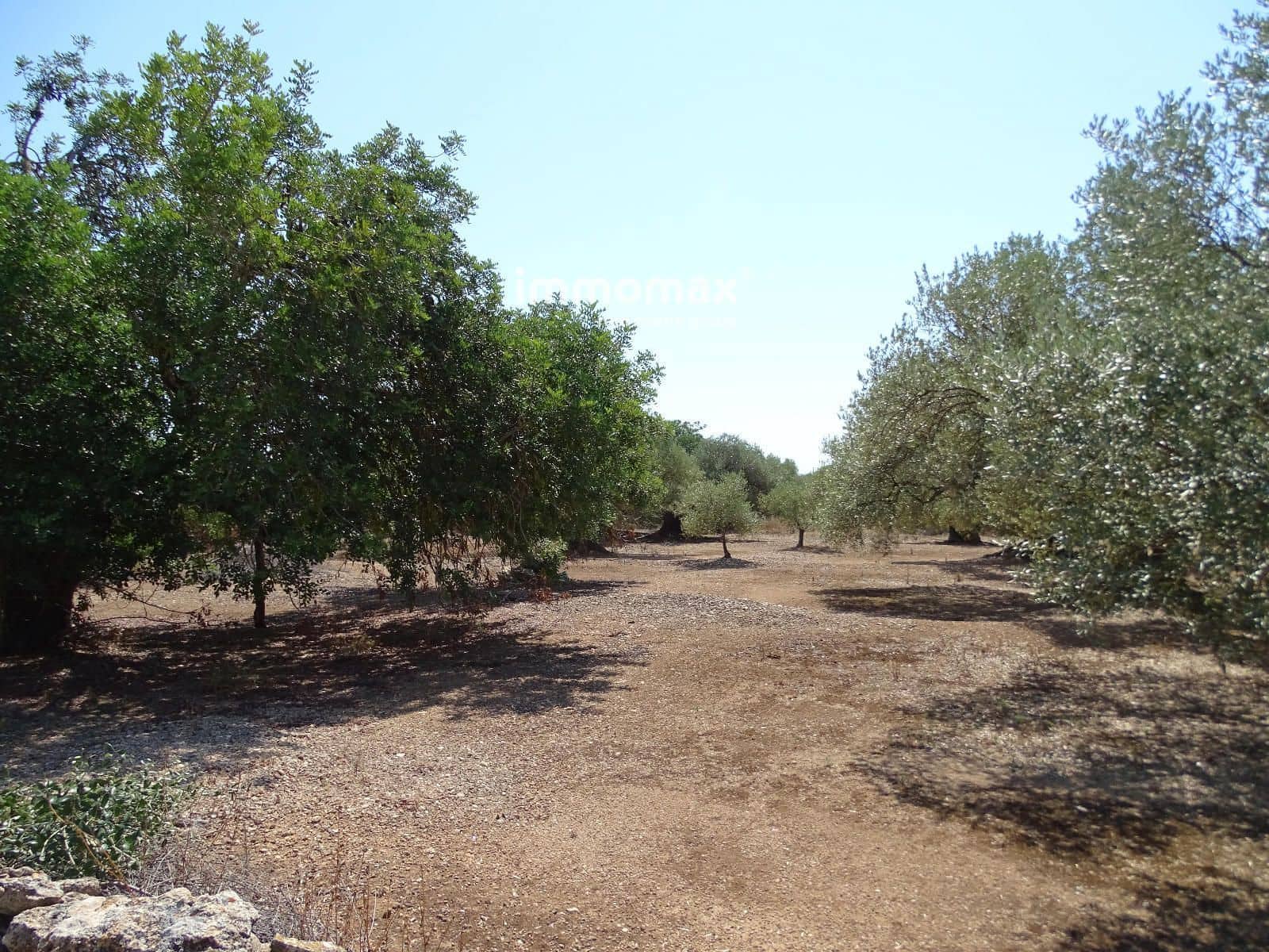 Grunde uden byggetilladelser til salg i Xerta - € 27.000 (Ref: 8799880)