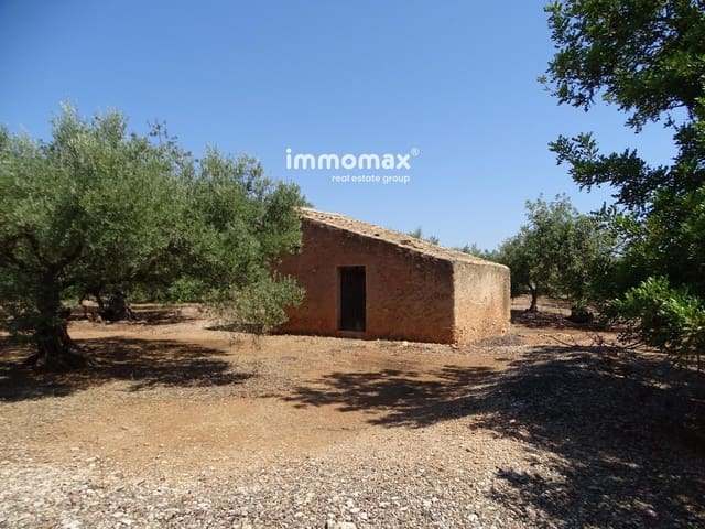Undeveloped Land for sale in Xerta - € 27,000 (Ref: 8799880)