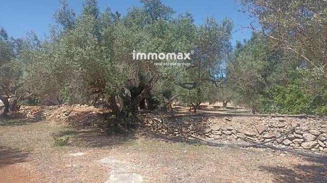 3 slaapkamer Villa te koop in L'Ampolla met zwembad garage - € 189.000 (Ref: 8850606)