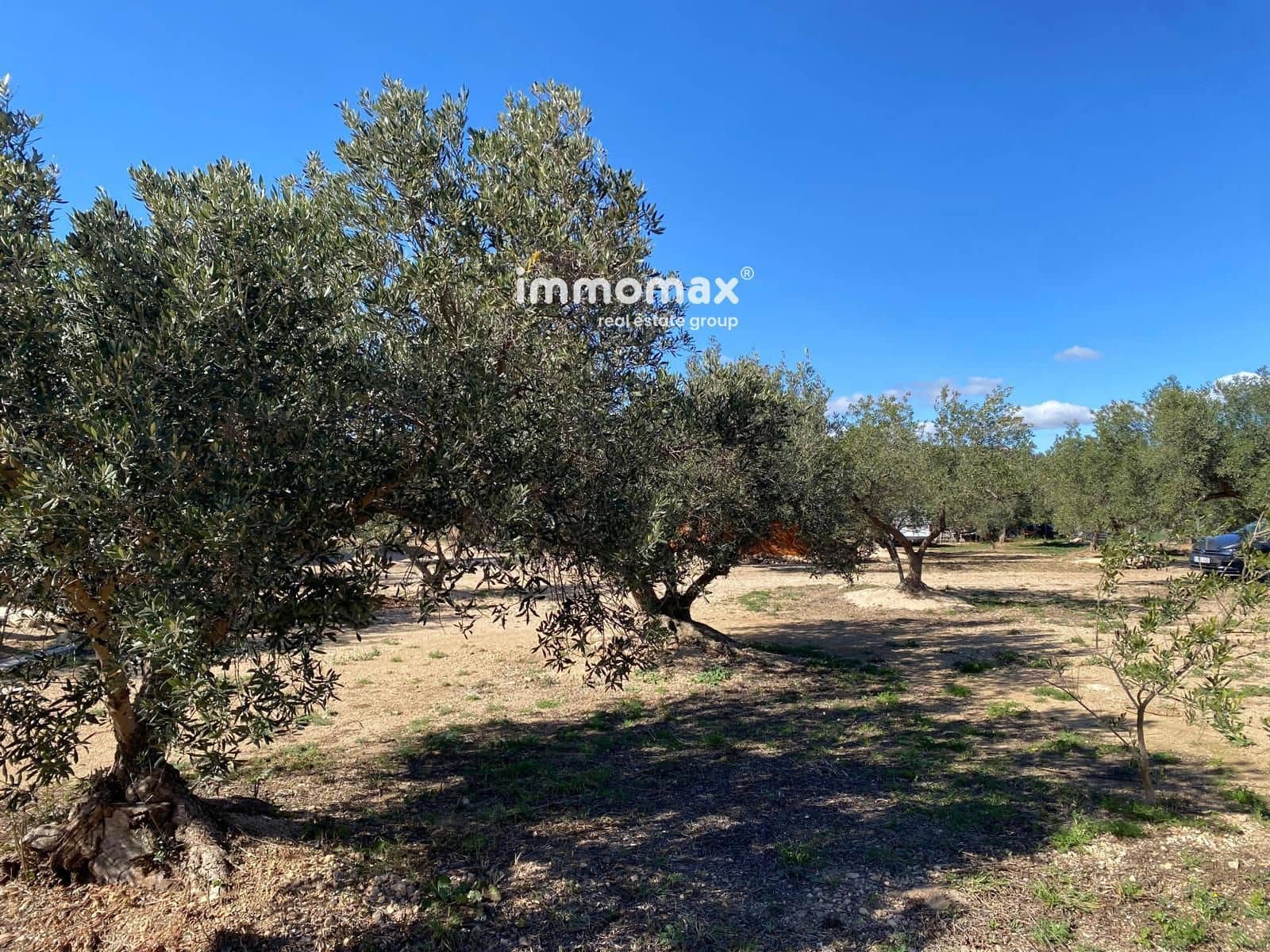 Grond te koop in Xerta - € 106.000 (Ref: 8855883)