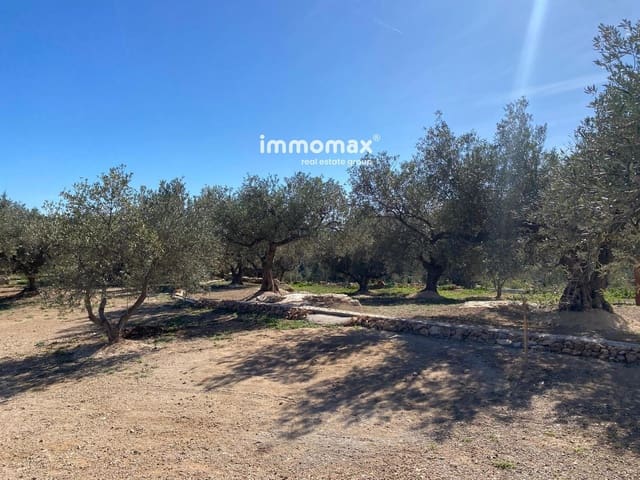 Teren niezagospodarowany na sprzedaż w Xerta - 106 000 € (Ref: 8855883)