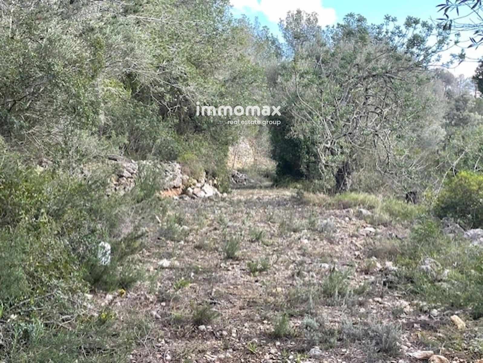 Grunde uden byggetilladelser til salg i Tortosa - € 69.500 (Ref: 8875929)