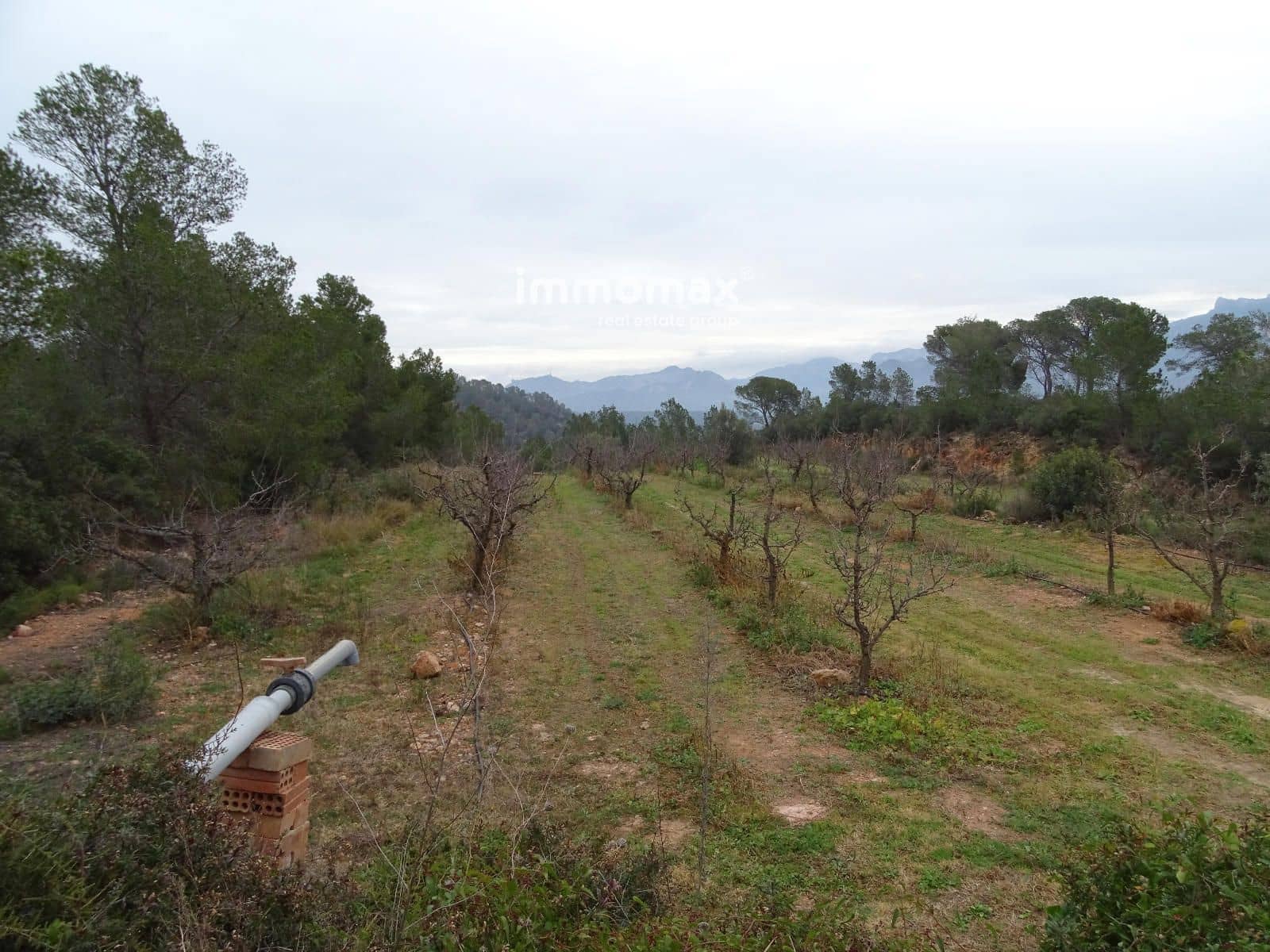 Grunde uden byggetilladelser til salg i Benifallet - € 210.000 (Ref: 8987259)