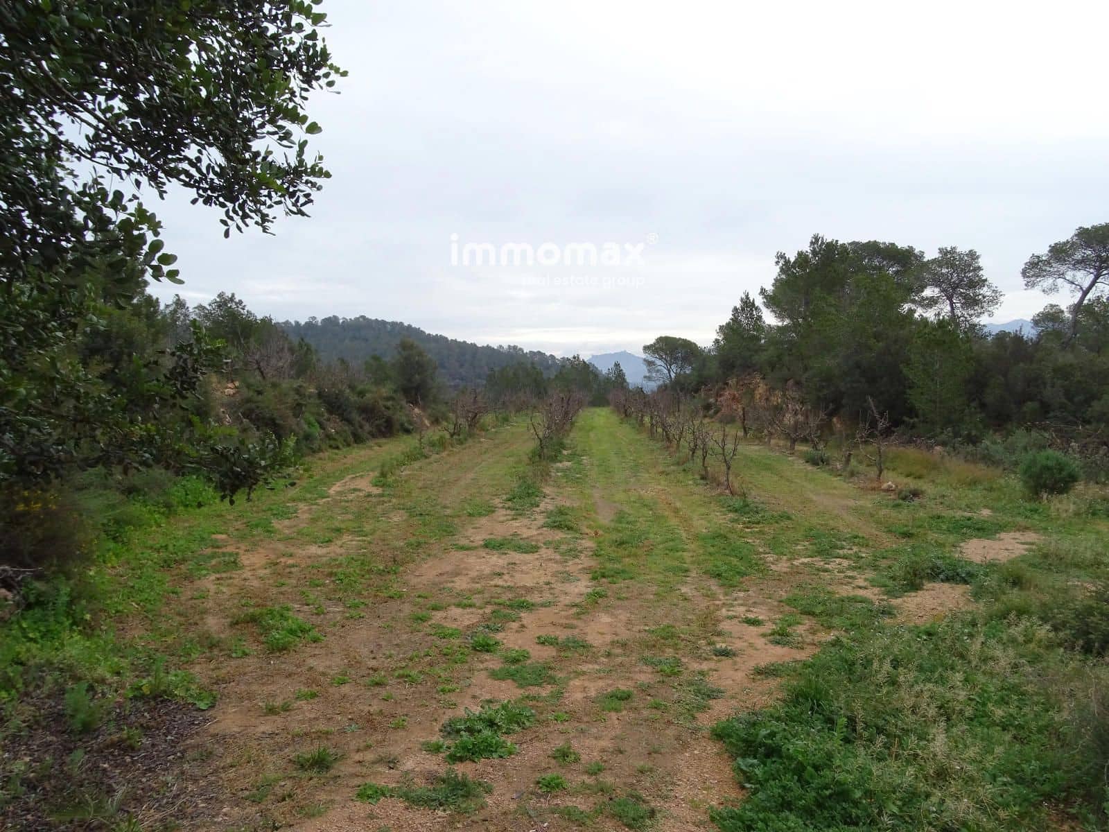 Grunde uden byggetilladelser til salg i Benifallet - € 210.000 (Ref: 8987259)