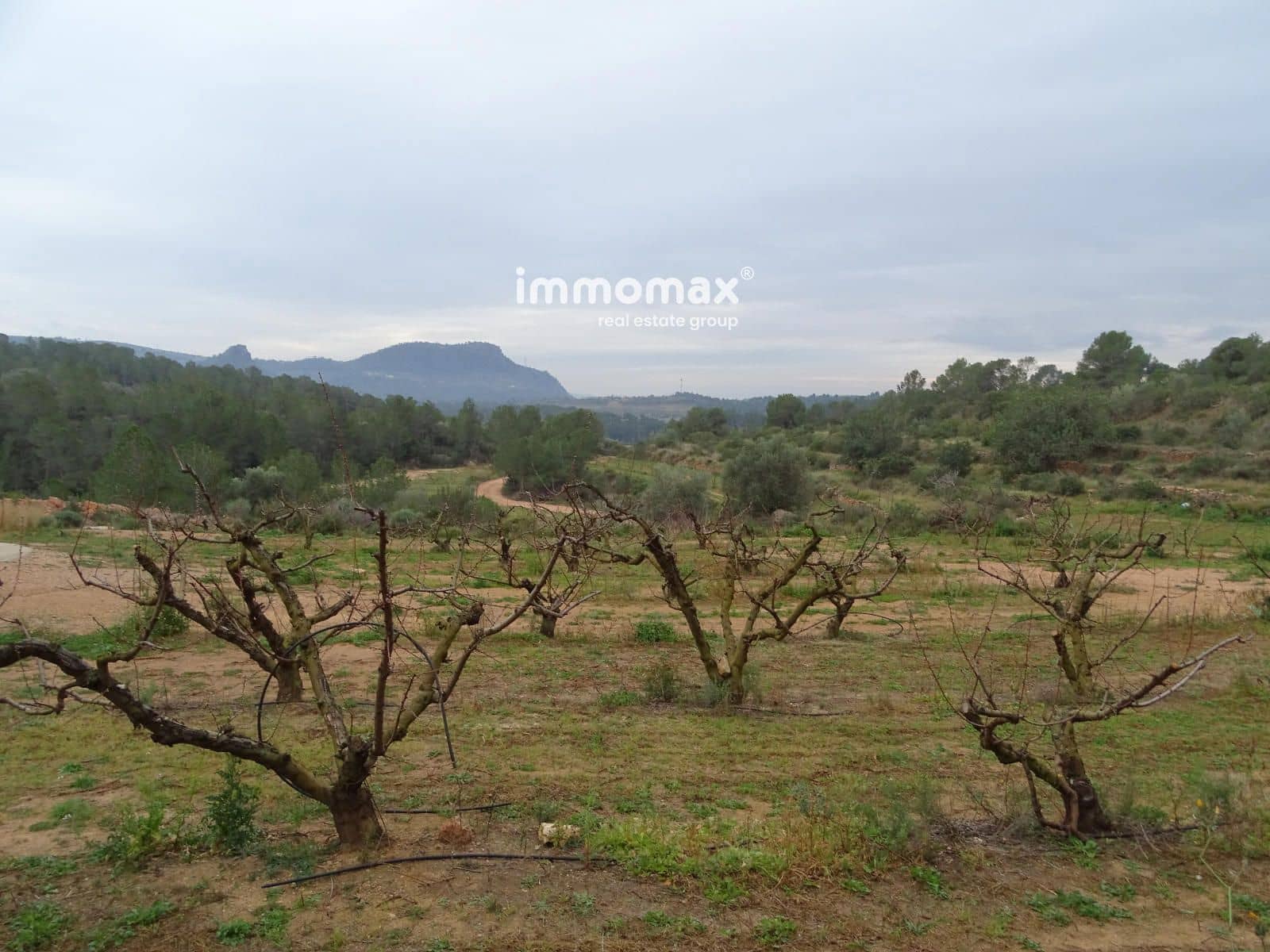 Grunde uden byggetilladelser til salg i Benifallet - € 210.000 (Ref: 8987259)