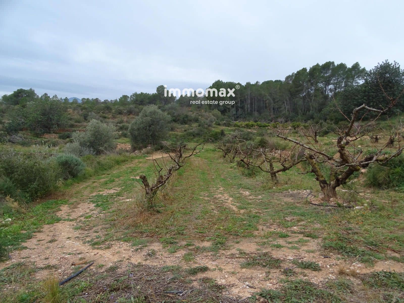 Grunde uden byggetilladelser til salg i Benifallet - € 210.000 (Ref: 8987259)