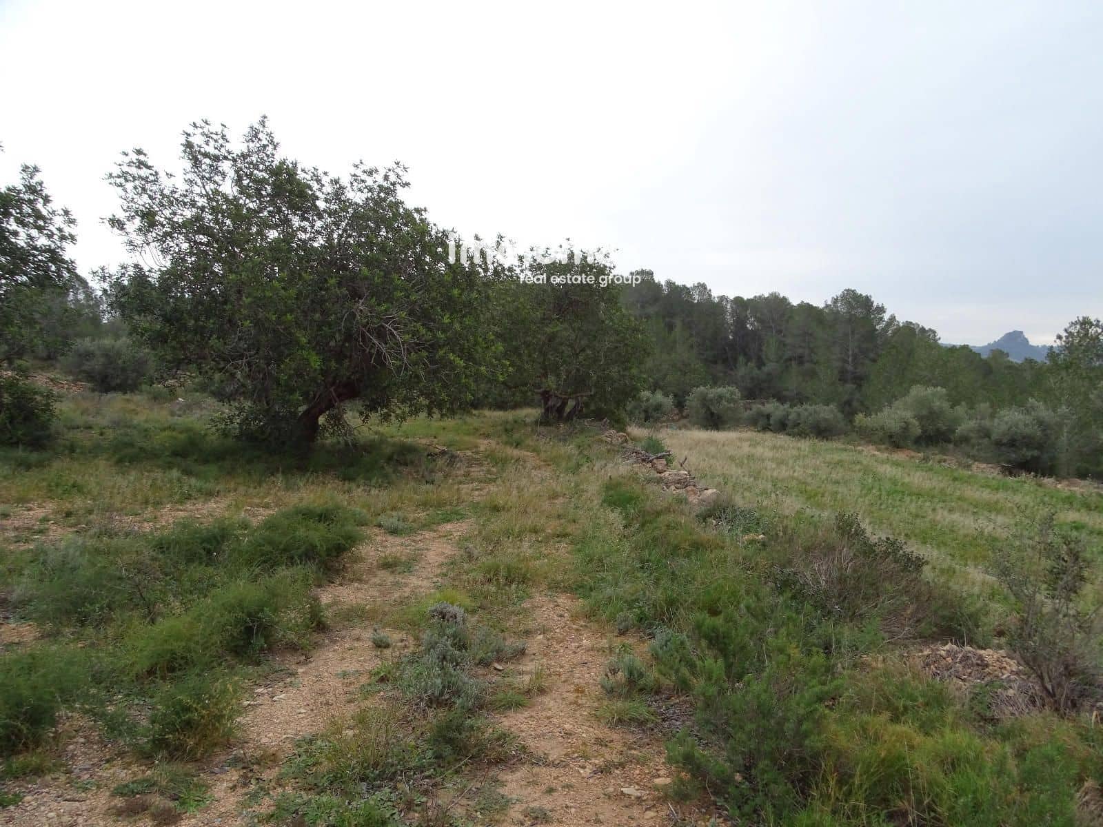 Grunde uden byggetilladelser til salg i Benifallet - € 210.000 (Ref: 8987259)