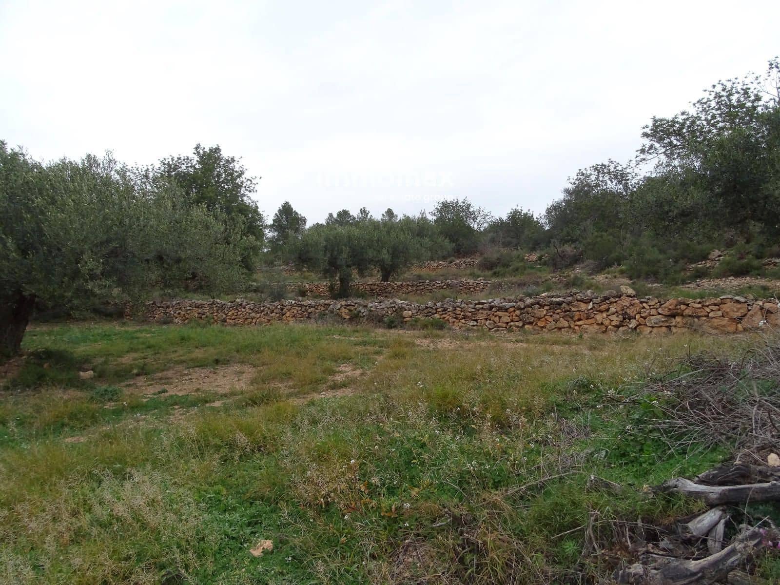 Grunde uden byggetilladelser til salg i Benifallet - € 210.000 (Ref: 8987259)