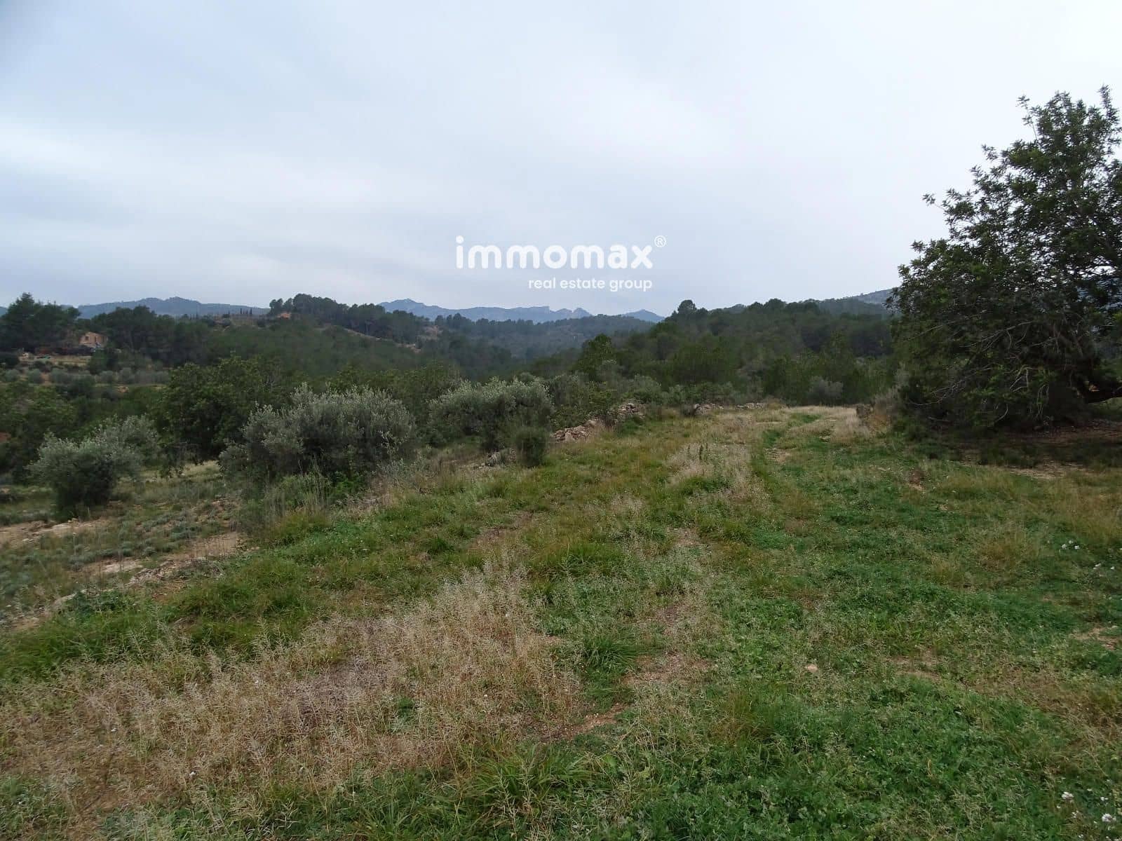 Grunde uden byggetilladelser til salg i Benifallet - € 210.000 (Ref: 8987259)