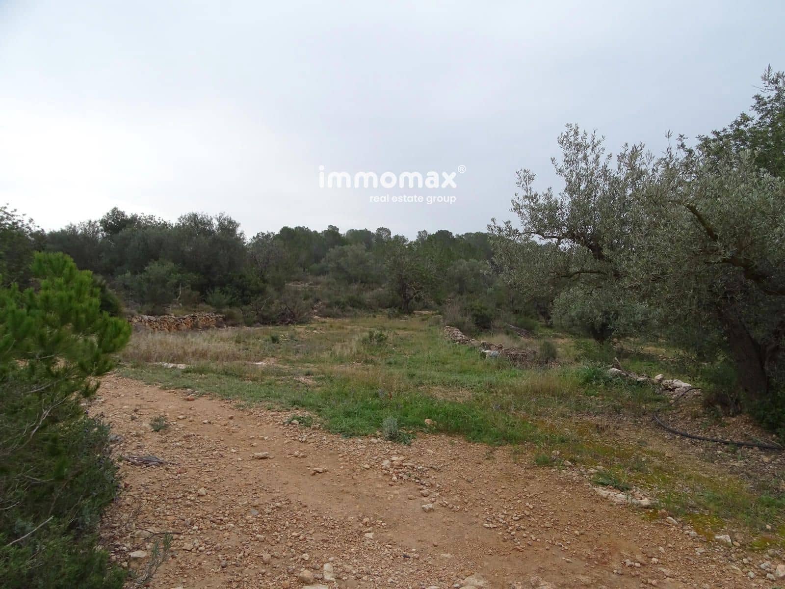 Grunde uden byggetilladelser til salg i Benifallet - € 210.000 (Ref: 8987259)