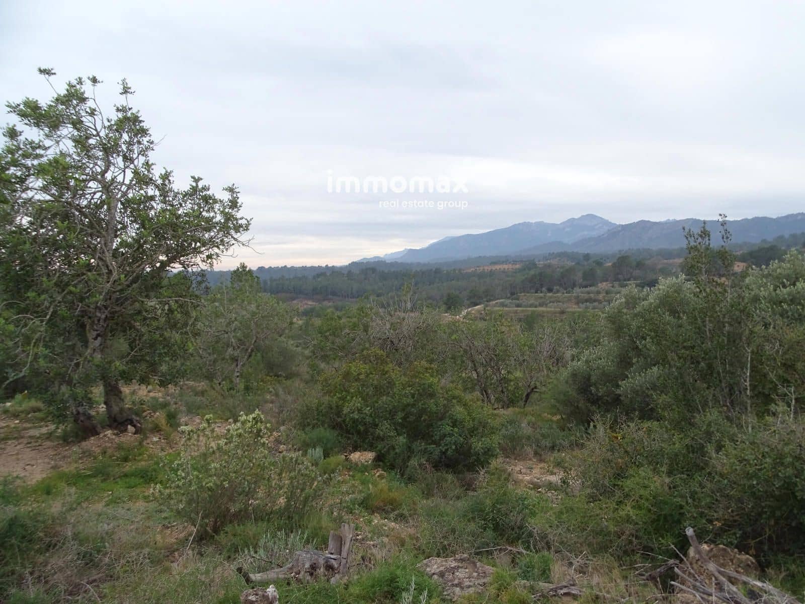 Grunde uden byggetilladelser til salg i Benifallet - € 210.000 (Ref: 8987259)