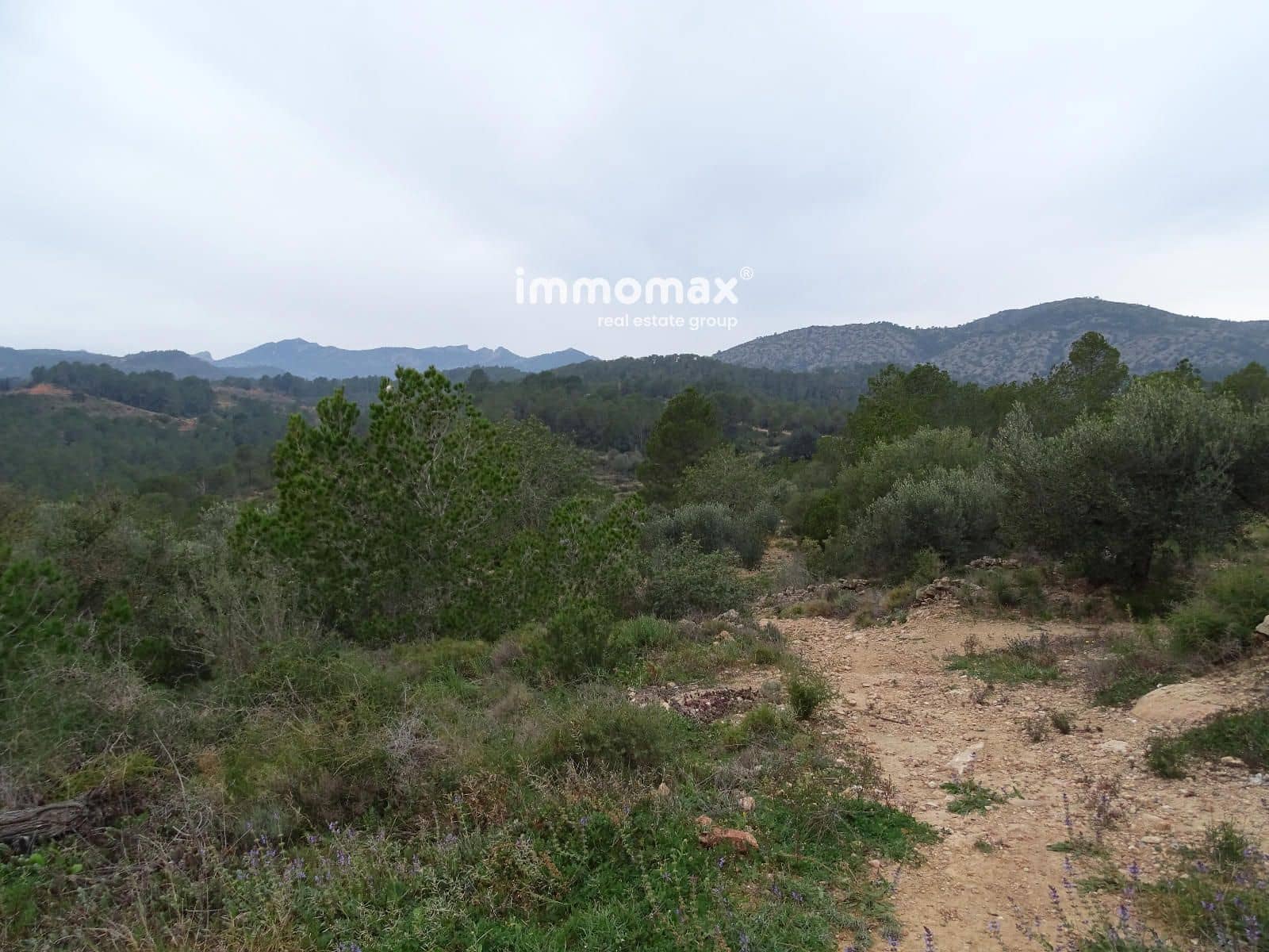 Grunde uden byggetilladelser til salg i Benifallet - € 210.000 (Ref: 8987259)