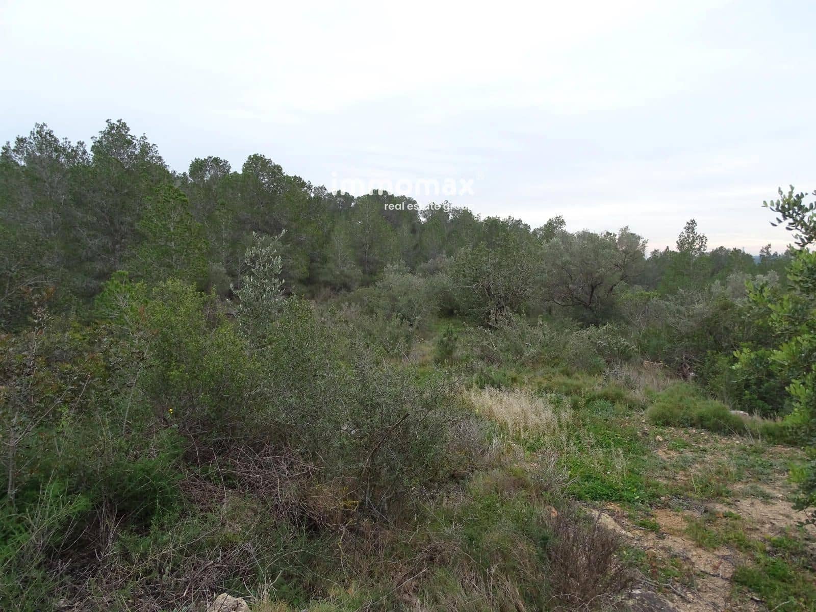 Grunde uden byggetilladelser til salg i Benifallet - € 210.000 (Ref: 8987259)