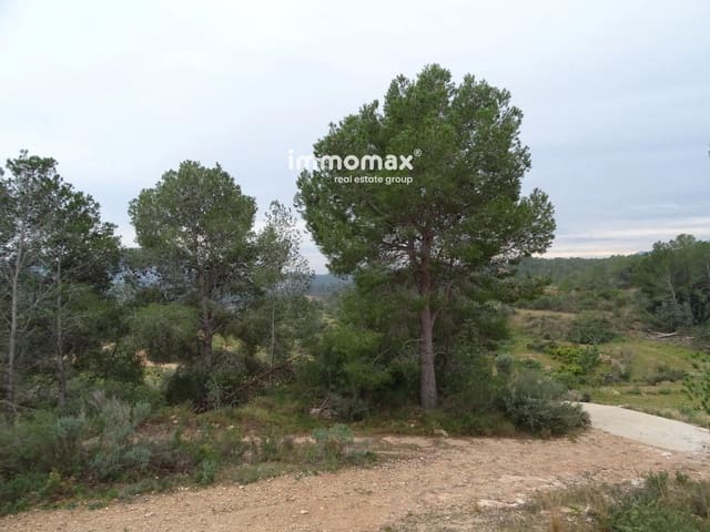 Undeveloped Land for sale in Benifallet - € 210,000 (Ref: 8987259)