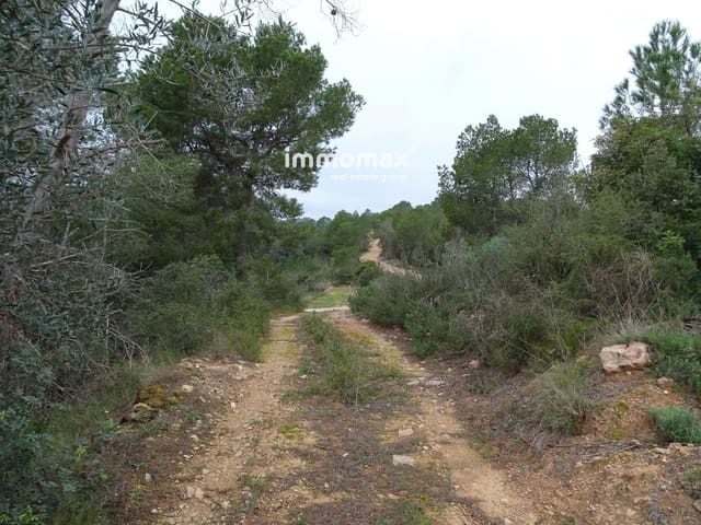 Undeveloped Land for sale in Benifallet - € 210,000 (Ref: 8987259)