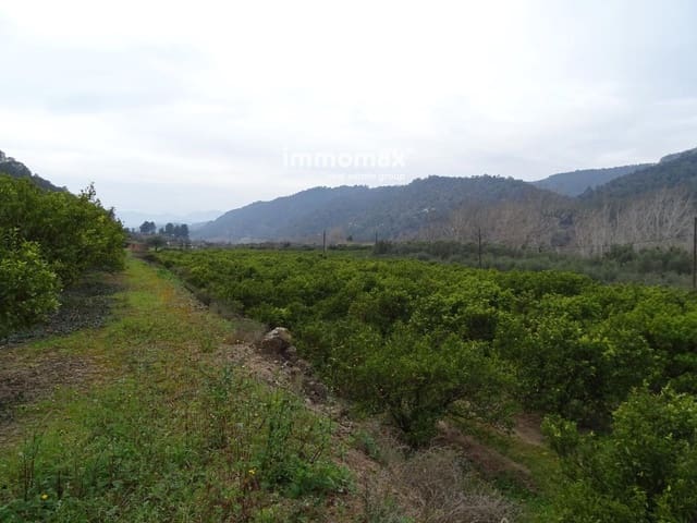 Undeveloped Land for sale in Benifallet - € 81,000 (Ref: 9013085)