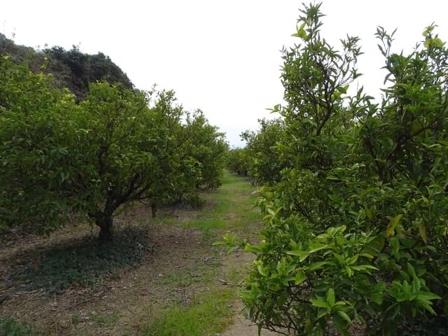 Undeveloped Land for sale in Benifallet - € 81,000 (Ref: 9013085)