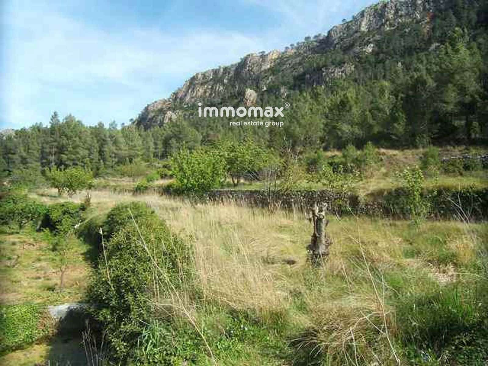 Ubebygd land til salgs i Pauls - € 23 000 (Ref: 9025634)