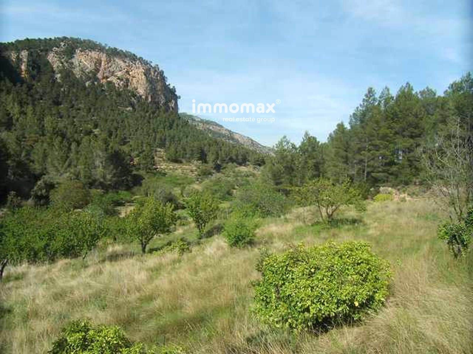 Ubebygd land til salgs i Pauls - € 23 000 (Ref: 9025634)