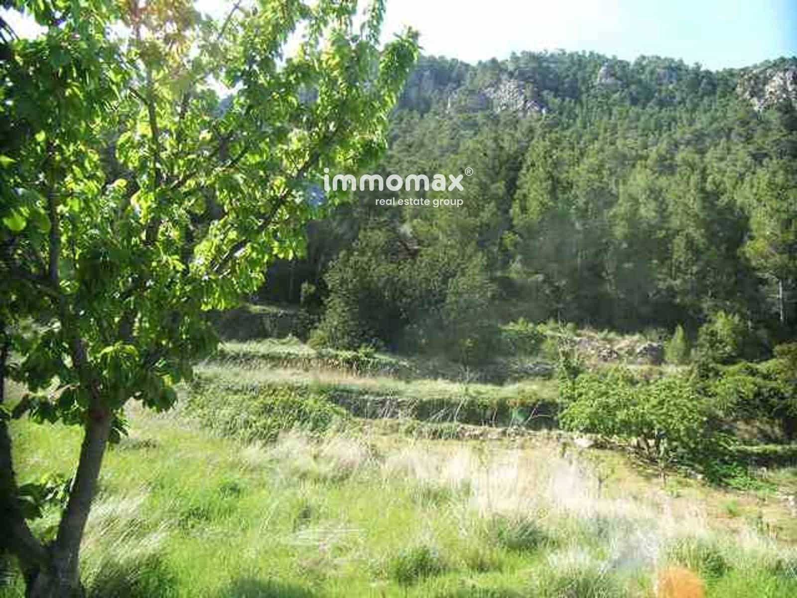 Ubebygd land til salgs i Pauls - € 23 000 (Ref: 9025634)