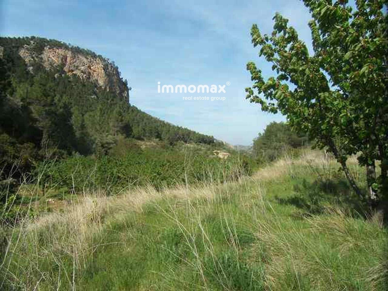 Ubebygd land til salgs i Pauls - € 23 000 (Ref: 9025634)