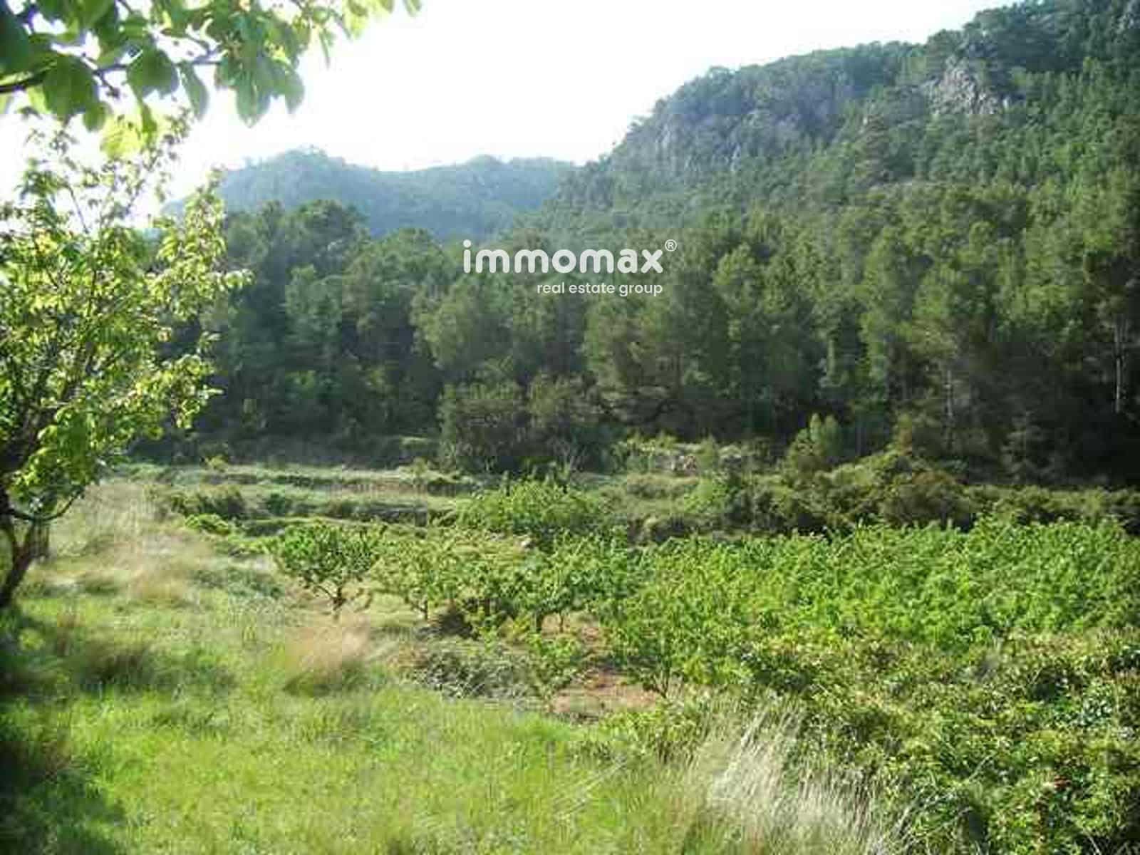 Ubebygd land til salgs i Pauls - € 23 000 (Ref: 9025634)