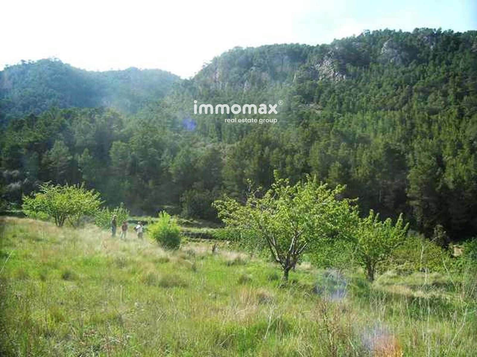 Ubebygd land til salgs i Pauls - € 23 000 (Ref: 9025634)