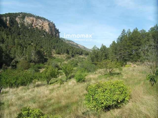 Grond te koop in Paüls - € 23.000 (Ref: 9025634)