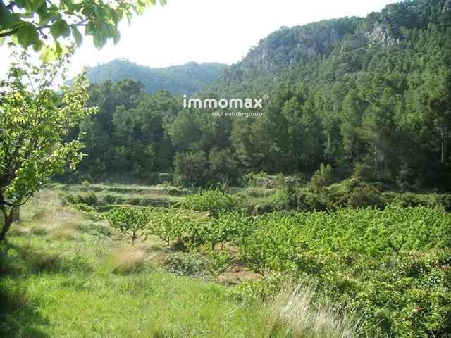 Grond te koop in Paüls - € 23.000 (Ref: 9025634)