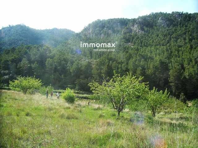 Grond te koop in Paüls - € 23.000 (Ref: 9025634)