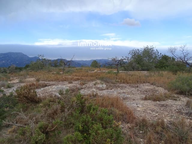 Grunde uden byggetilladelser til salg i Roquetes - € 23.000 (Ref: 9025635)
