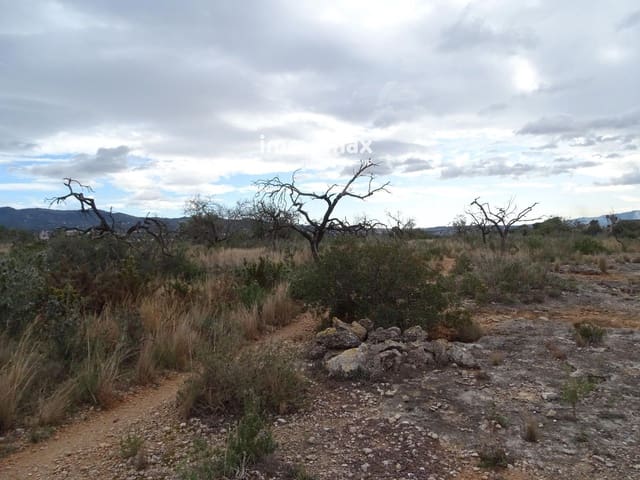 Grunde uden byggetilladelser til salg i Roquetes - € 23.000 (Ref: 9025635)