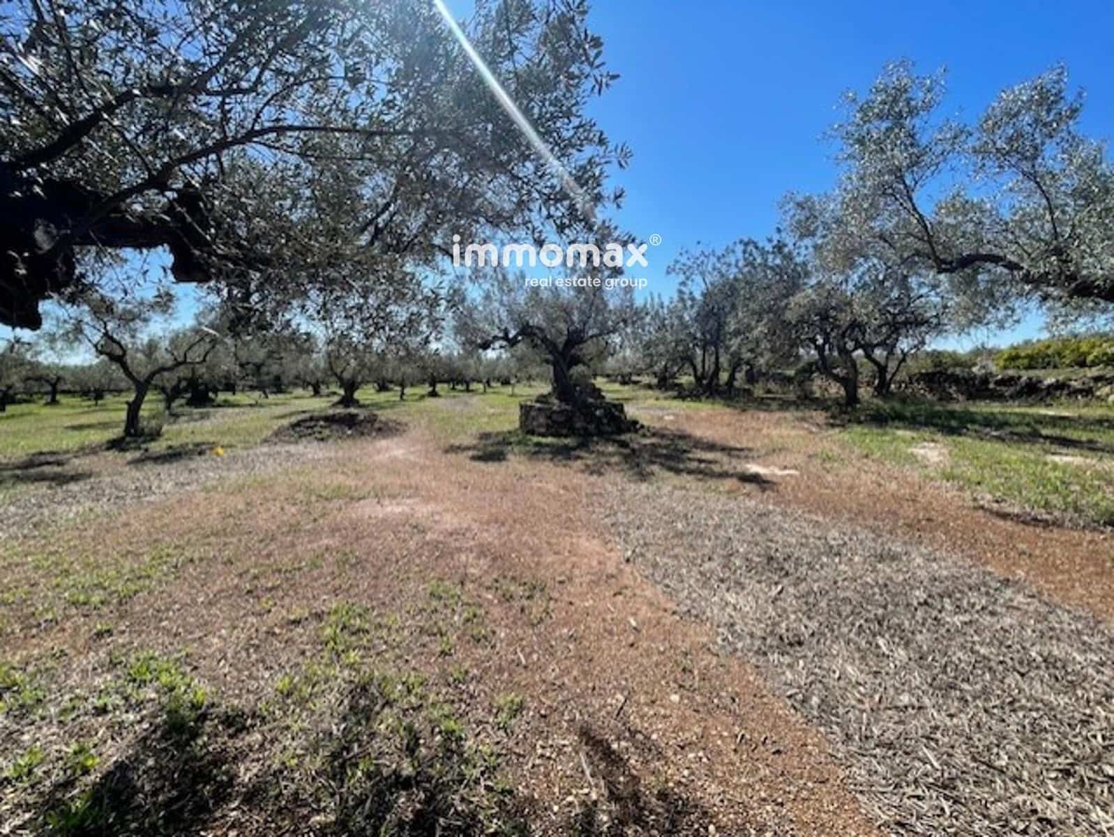 Grunde uden byggetilladelser til salg i Roquetes - € 69.500 (Ref: 9061534)