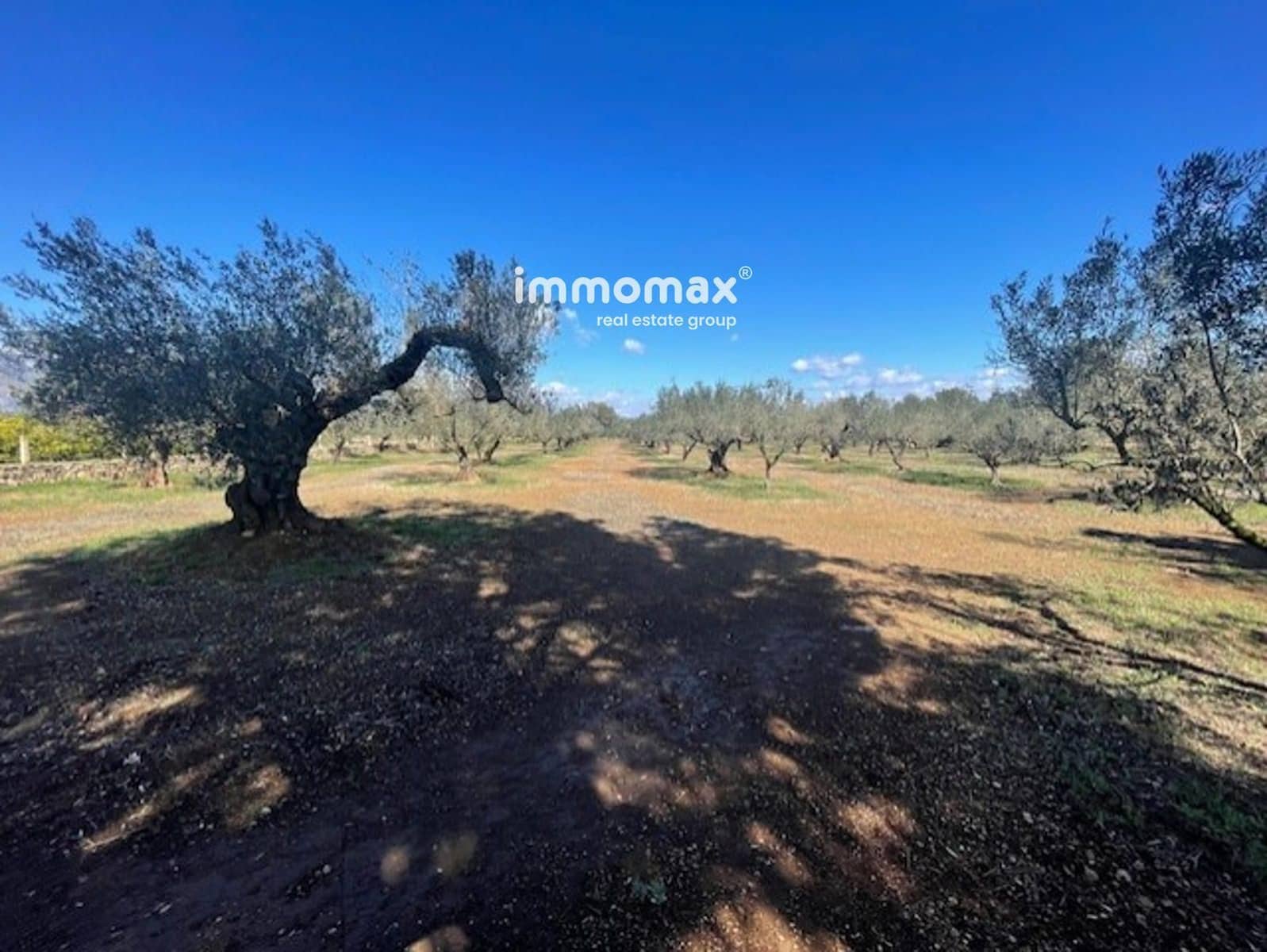 Grunde uden byggetilladelser til salg i Roquetes - € 69.500 (Ref: 9061534)